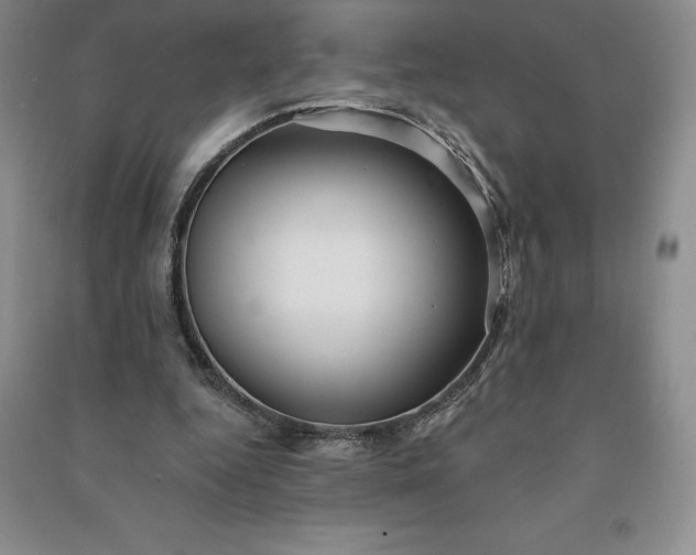 X0000090980344200708161901