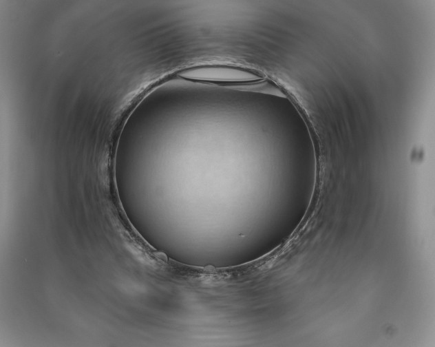 X0000090980345200708161901