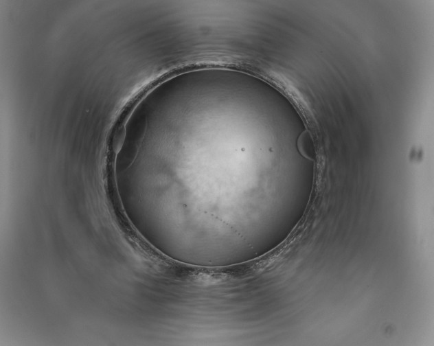 X0000090980346200708161901