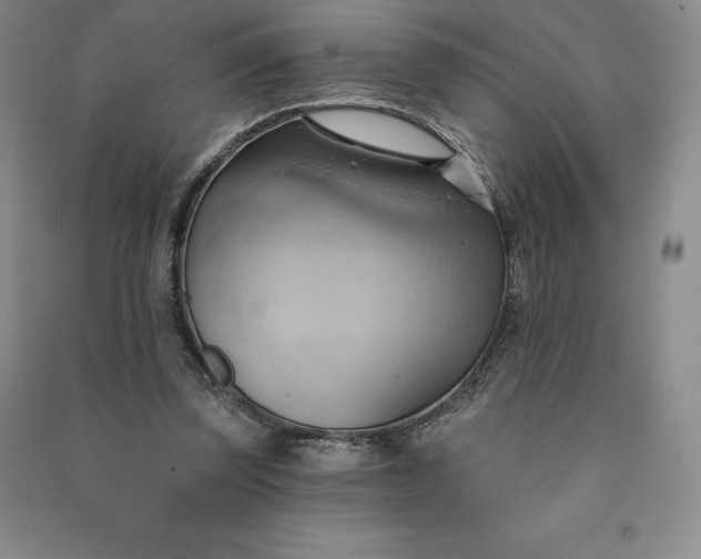 X0000090980347200708161901