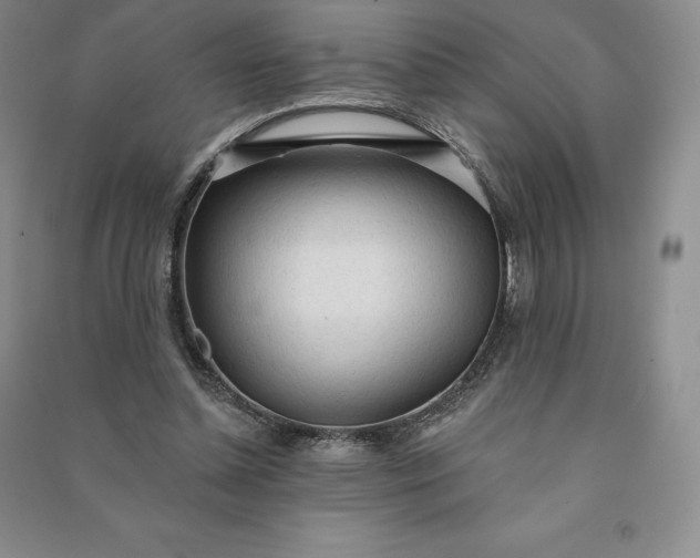 X0000090980348200708161901