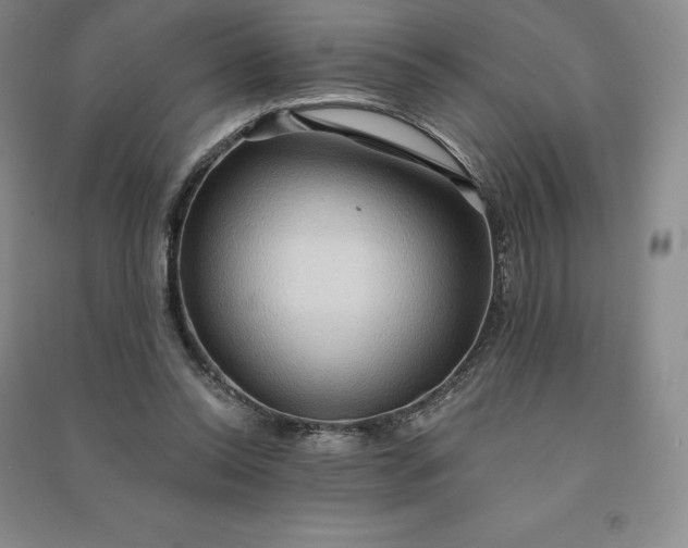 X0000090980350200708161901