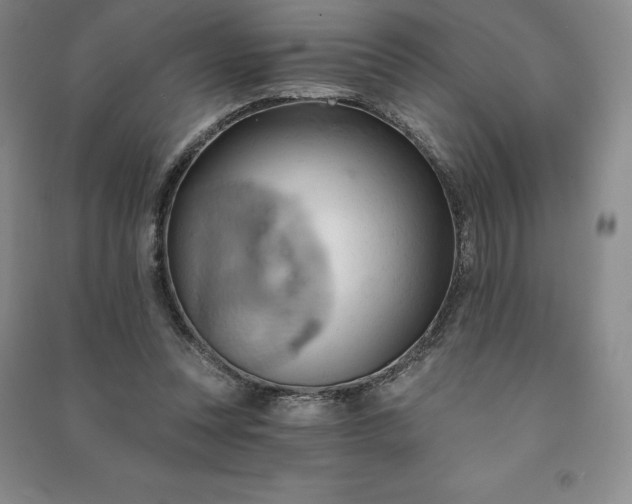 X0000090980351200708161901