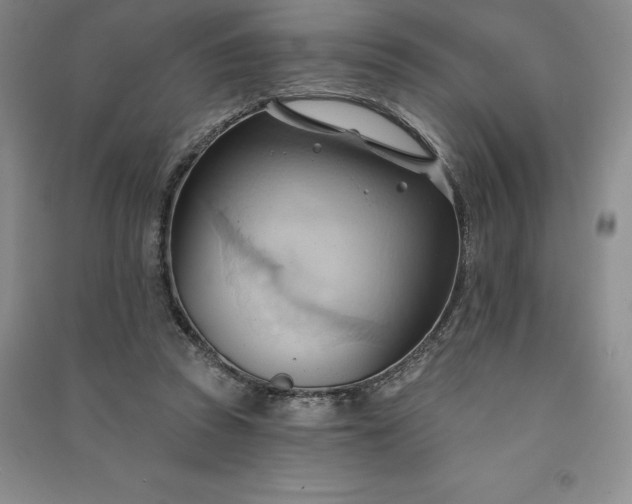 X0000090980353200708161901