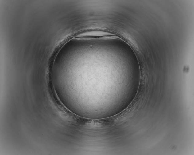 X0000090980354200708161901