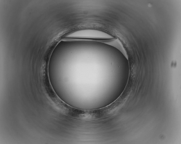 X0000090980356200708161901
