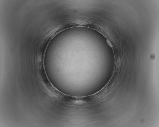X0000090980360200708161901