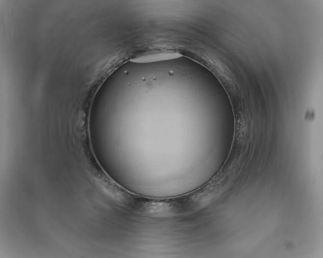 X0000090980361200708161901