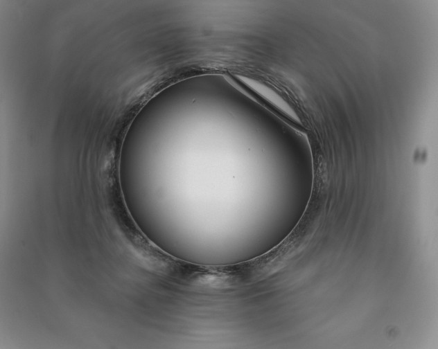 X0000090980364200708161901
