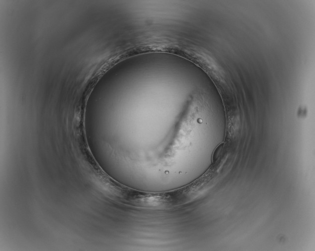 X0000090980365200708161901