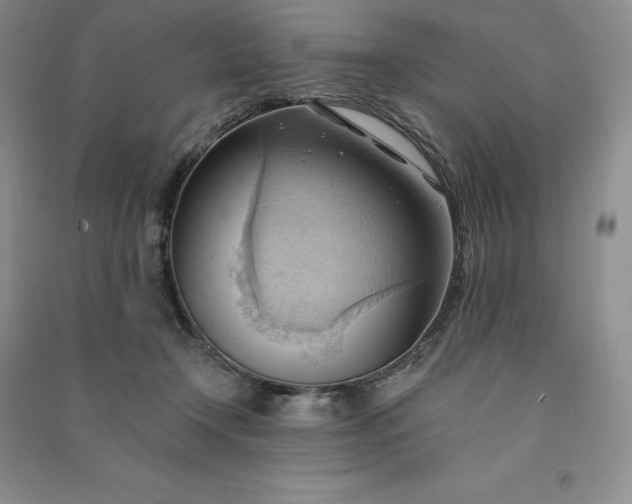 X0000090980366200708161901