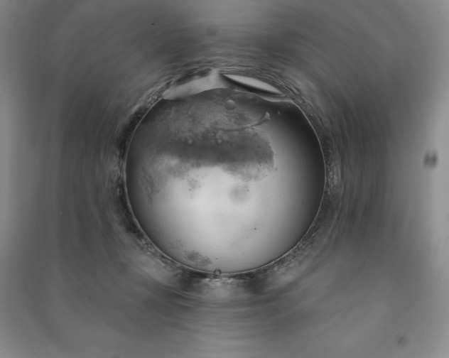 X0000090980367200708161901