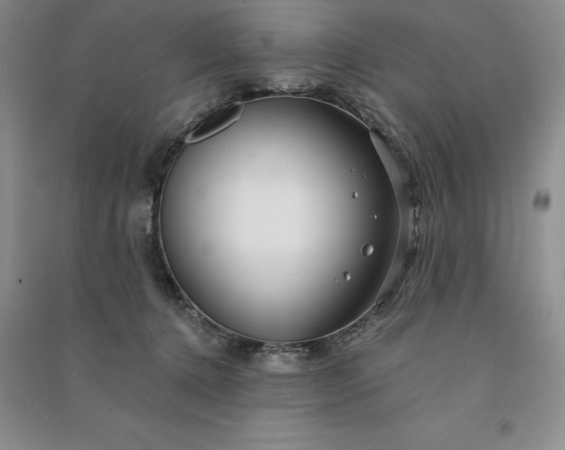 X0000090980368200708161901