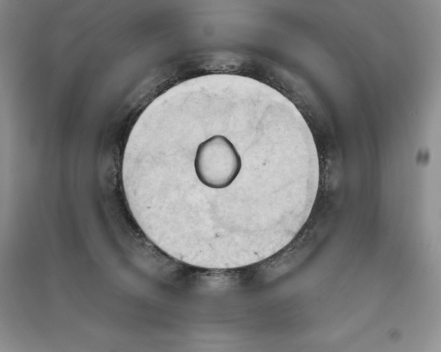 X0000090980370200708161901