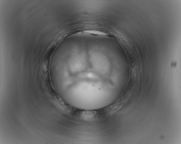 X0000090980373200708161901