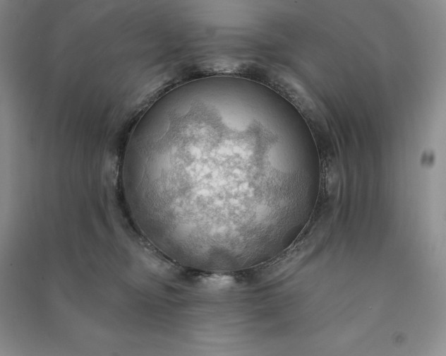 X0000090980374200708161901