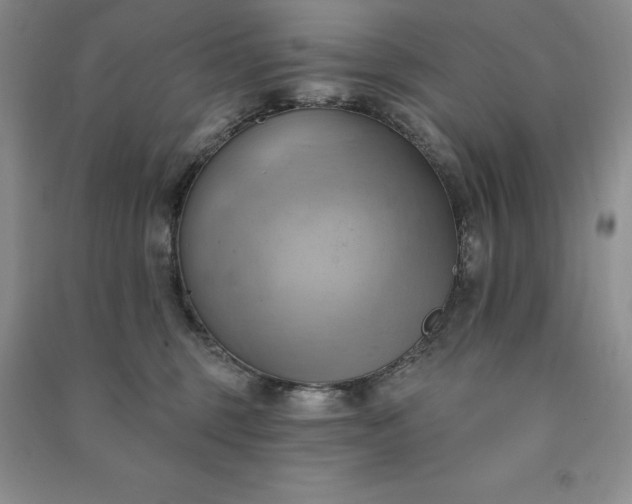 X0000090980375200708161901
