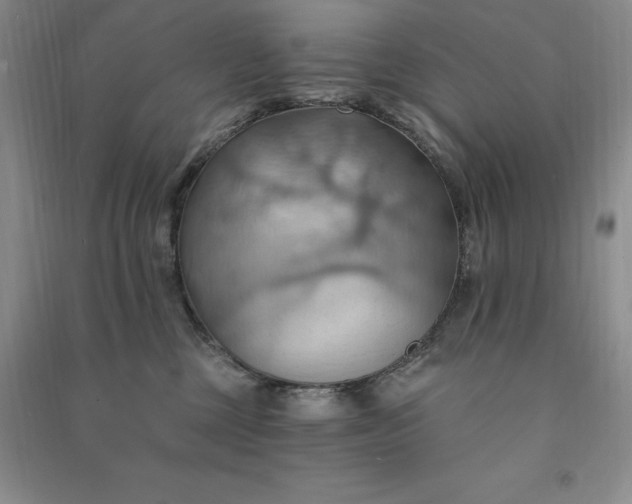 X0000090980377200708161901