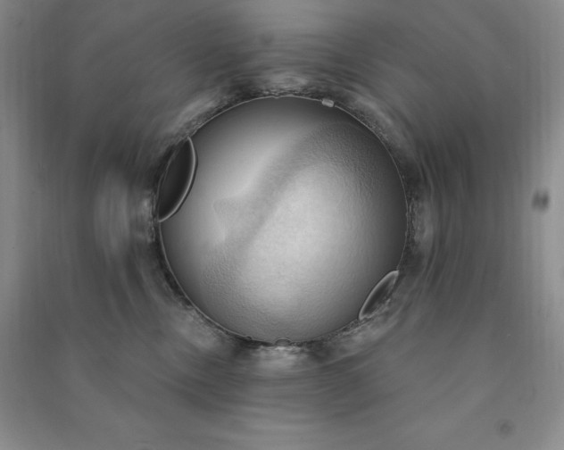 X0000090980378200708161901