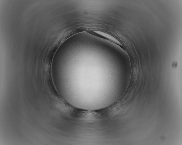 X0000090980379200708161901