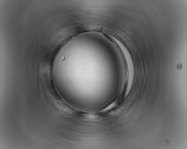 X0000090980380200708161901