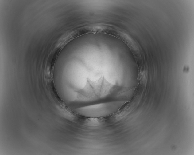 X0000090980381200708161901