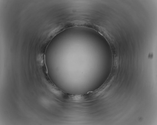 X0000090980383200708161901