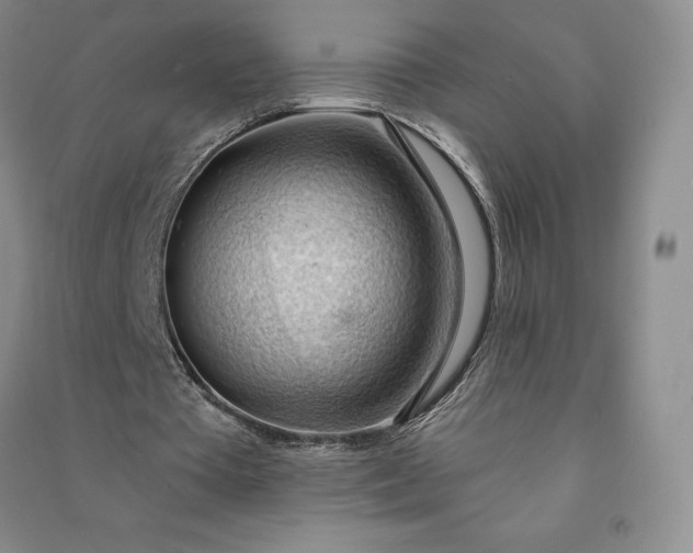 X0000090980385200708161901