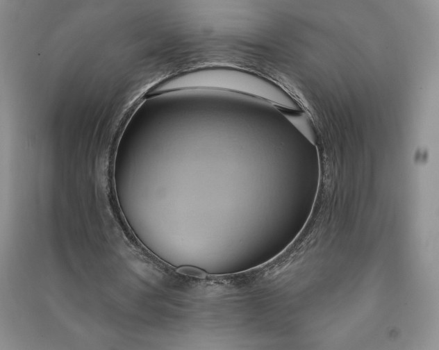 X0000090980386200708161901