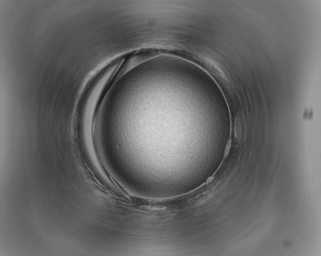 X0000090980388200708161901