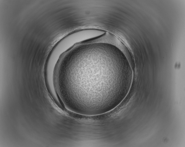 X0000090980389200708161900