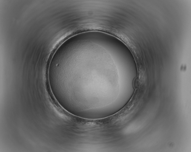 X0000090980390200708161900