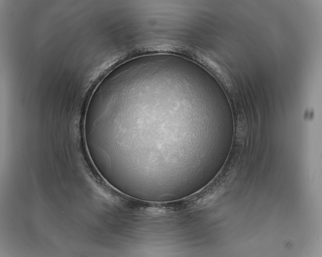 X0000090980394200708161900