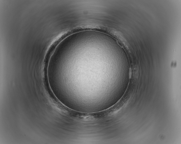 X0000090980395200708161900
