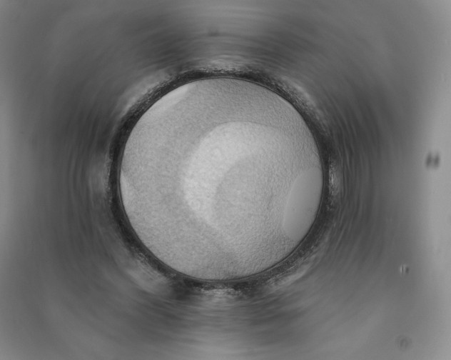 X0000090980396200708161900