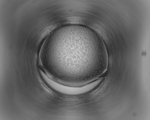 X0000090980397200708161900
