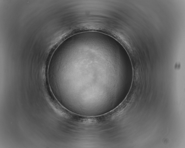 X0000090980398200708161900
