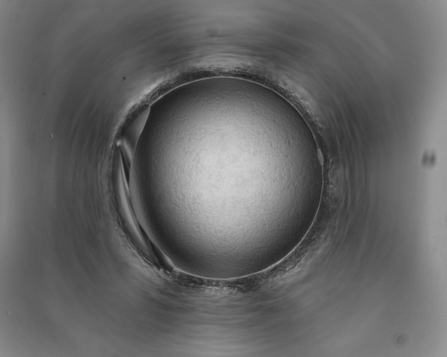 X0000090980399200708161900