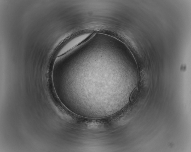 X0000090980400200708161900