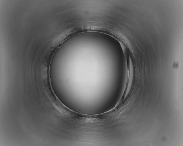 X0000090980401200708161900