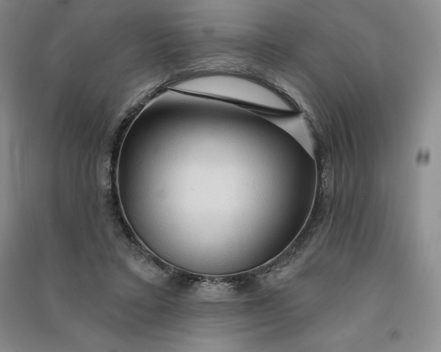 X0000090980403200708161900