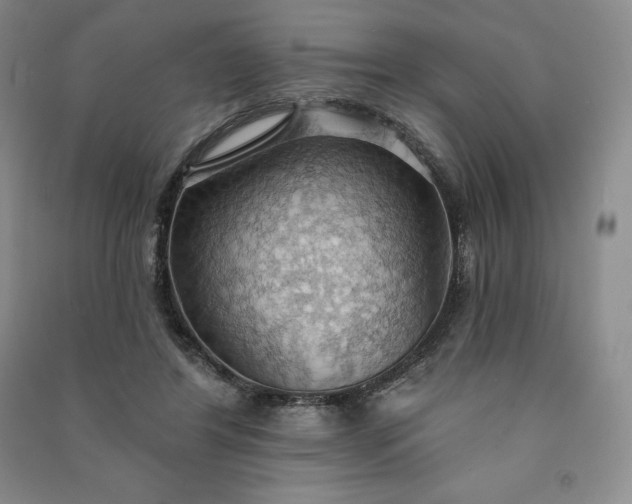 X0000090980404200708161900