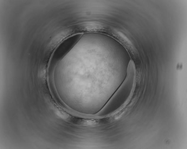 X0000090980405200708161900