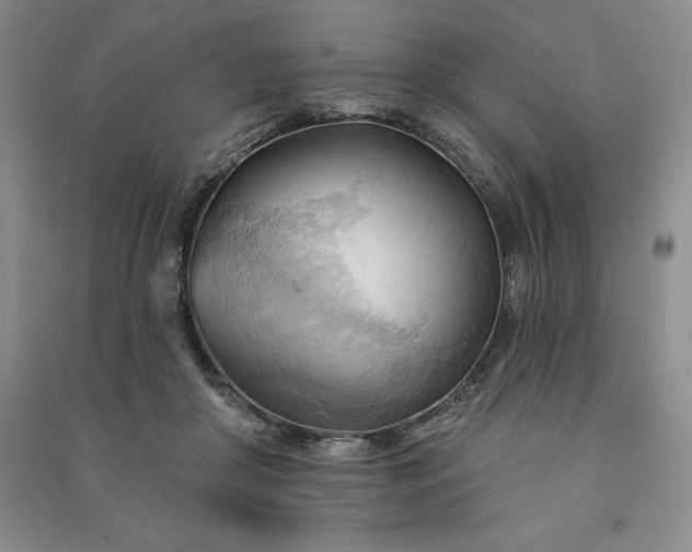 X0000090980410200708161900