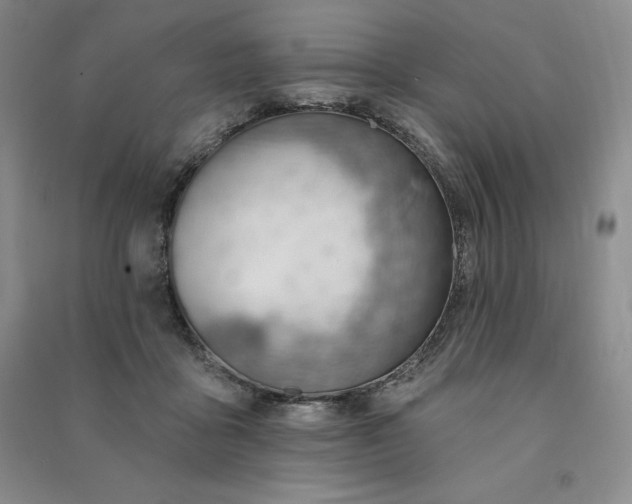 X0000090980411200708161900
