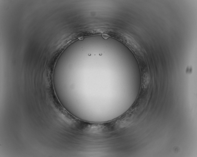 X0000090980414200708161900