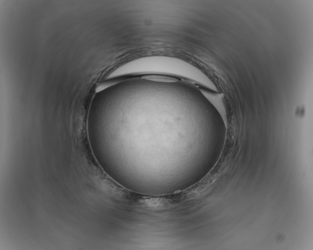 X0000090980417200708161900