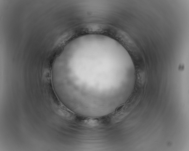 X0000090980419200708161900