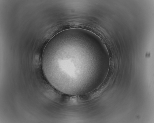 X0000090980420200708161900
