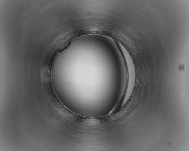 X0000090980421200708161900
